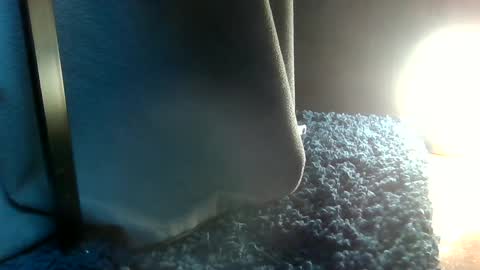 Snapshot of fredthetom12 chatting on February 6, 7:18 pm Greedy Fred online show from February 6, 7:18 pm