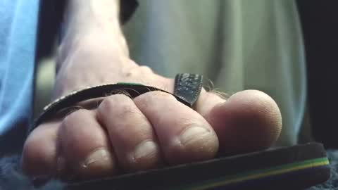 Greedy Fred online show from February 8, 3:37 pm