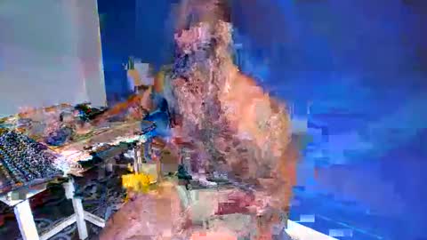 Snapshot of freedom_24 chatting on May 24, 4:01 pm shakur online show from May 24, 4:01 pm