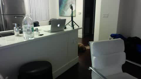 Snapshot of freesoulmovement chatting on January 16, 6:03 am jasmineandaladin69 online show from January 16, 6:03 am