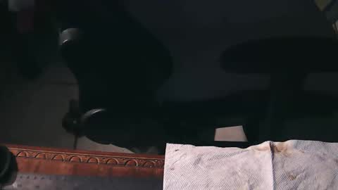 Snapshot of freetryal chatting on November 21, 2:21 am freetryal online show from November 21, 2:21 am