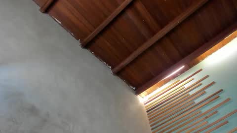 Xavier online show from March 6, 2:08 am