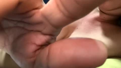 carolina online show from February 9, 6:12 pm