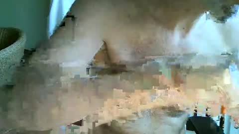 frisco69 online show from April 12, 11:04 am