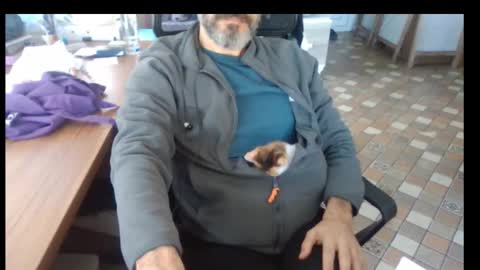 Bruchus online show from November 25, 9:42 am