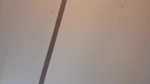 Astrid online show from April 3, 2:09 am