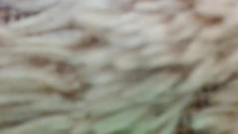 Snapshot of fullyfashionednylonlover chatting on March 2, 11:06 am fullyfashionednylonlover online show from March 2, 11:06 am