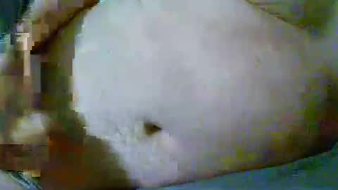 fultonstreet196860 online show from April 10, 12:38 am