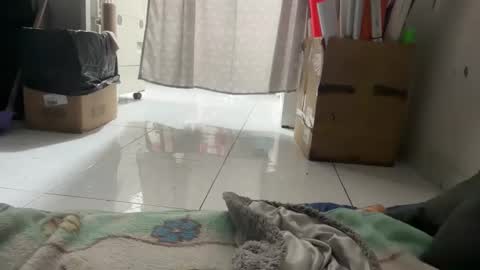 gab021593 online show from January 14, 3:06 pm