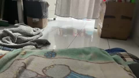 gab021593 online show from January 16, 3:38 pm