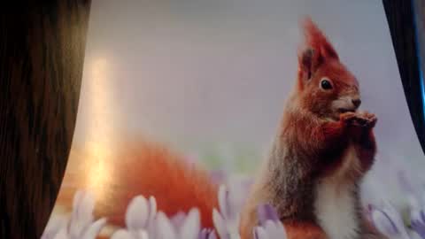 Snapshot of galera100 chatting on March 3, 8:31 am galera100 online show from March 3, 8:31 am