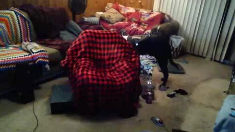 Snapshot of gamerfiend420 chatting on October 17, 1:53 am gamerfiend420 online show from October 17, 1:53 am