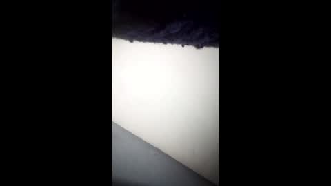 Ganis online show from April 26, 6:33 am