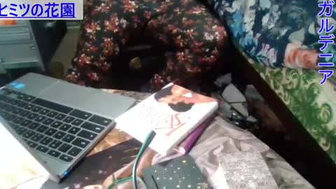 Gardenia online show from December 23, 8:11 am