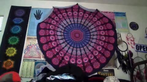 Gardenia online show from April 5, 11:13 pm