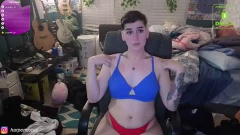 Snapshot of garthvoncoole chatting on December 4, 2:54 am HarperxLotus online show from December 4, 2:54 am