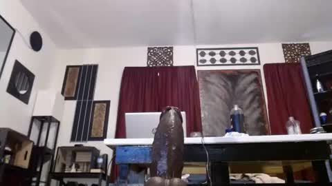 Snapshot of gatewaylaptop2019 chatting on April 19, 6:10 pm gatewaylaptop2019 online show from April 19, 6:10 pm
