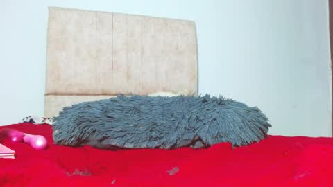 Snapshot of gatita13333321 chatting on January 26, 5:56 am gatita13333321 online show from January 26, 5:56 am