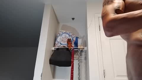 Snapshot of geekedoutlabs chatting on September 13, 9:53 am Zanecubano online show from September 13, 9:53 am