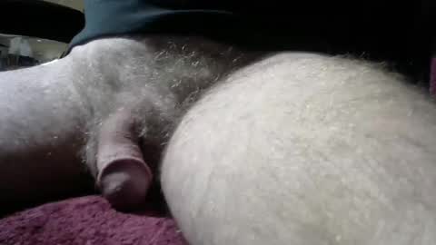 Snapshot of gemini_2 chatting on January 4, 6:09 pm gemini_2 online show from January 4, 6:09 pm