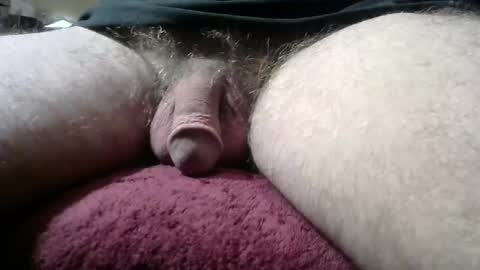 Snapshot of gemini_2 chatting on January 12, 3:46 pm gemini_2 online show from January 12, 3:46 pm