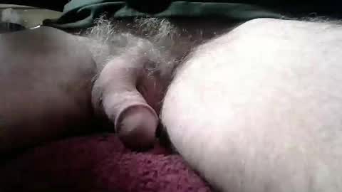 Snapshot of gemini_2 chatting on January 19, 2:17 pm gemini_2 online show from January 19, 2:17 pm