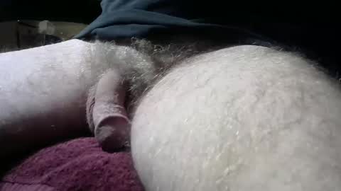 Snapshot of gemini_2 chatting on February 9, 6:54 am gemini_2 online show from February 9, 6:54 am