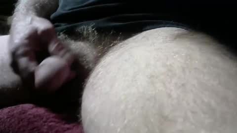 Snapshot of gemini_2 chatting on February 9, 2:29 pm gemini_2 online show from February 9, 2:29 pm