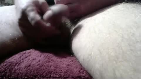 Snapshot of gemini_2 chatting on February 11, 2:35 pm gemini_2 online show from February 11, 2:35 pm