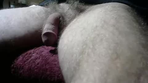 Snapshot of gemini_2 chatting on February 11, 5:40 pm gemini_2 online show from February 11, 5:40 pm