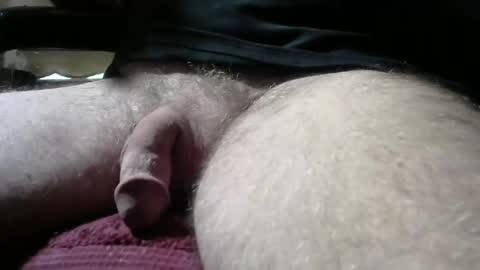 Snapshot of gemini_2 chatting on February 16, 5:37 pm gemini_2 online show from February 16, 5:37 pm