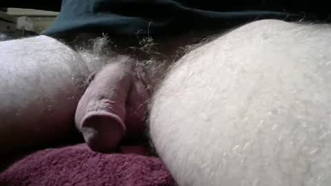 Snapshot of gemini_2 chatting on March 5, 2:23 pm gemini_2 online show from March 5, 2:23 pm