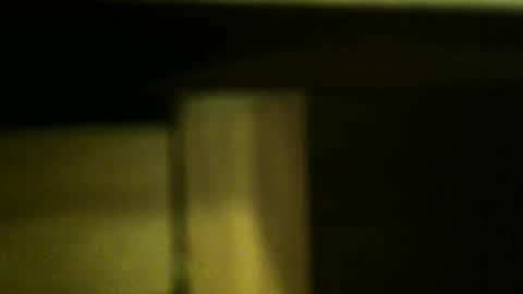 Snapshot of gemini_2 chatting on October 29, 1:46 pm gemini_2 online show from October 29, 1:46 pm