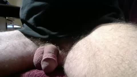 Snapshot of gemini_2 chatting on November 18, 3:16 pm gemini_2 online show from November 18, 3:16 pm