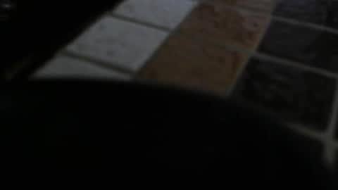 Snapshot of gene4 chatting on December 31, 7:29 pm gene online show from December 31, 7:29 pm