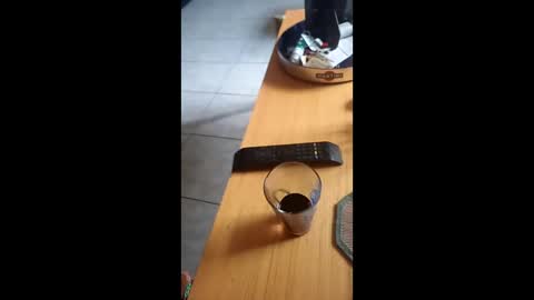 gergokertesz online show from December 24, 12:55 pm