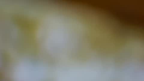 Snapshot of germanandy71 chatting on November 3, 1:34 pm germanandy71 online show from November 3, 1:34 pm