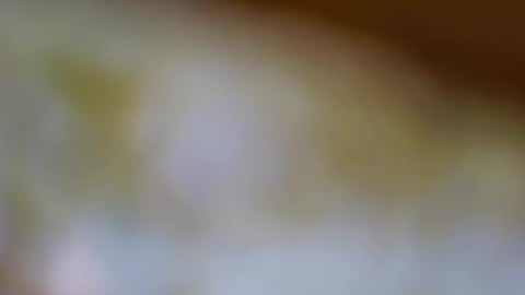 Snapshot of germanandy71 chatting on November 20, 8:14 am germanandy71 online show from November 20, 8:14 am