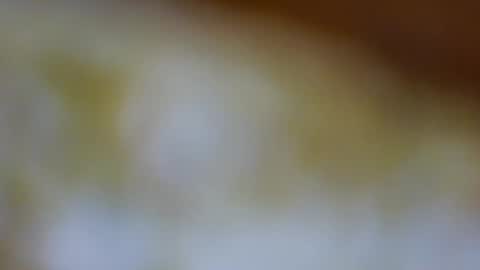 Snapshot of germanandy71 chatting on November 23, 8:58 am germanandy71 online show from November 23, 8:58 am