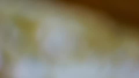 Snapshot of germanandy71 chatting on November 26, 9:10 am germanandy71 online show from November 26, 9:10 am