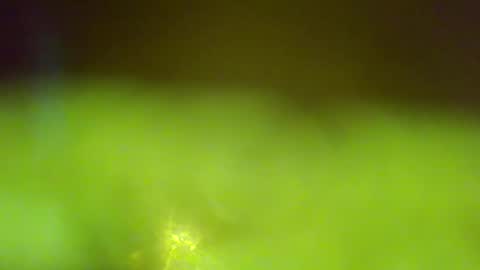 Snapshot of germanandy71 chatting on January 6, 6:50 am germanandy71 online show from January 6, 6:50 am