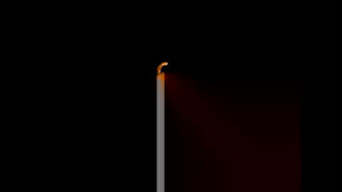 gerson229 online show from January 14, 12:11 pm