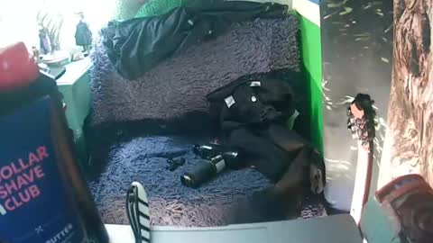 Snapshot of getfucked321jake chatting on January 16, 12:31 pm getfucked321jake online show from January 16, 12:31 pm