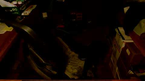 gfhdhr2 online show from March 4, 9:18 am