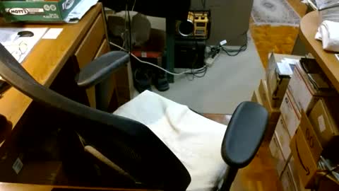 Snapshot of gfhdhr2 chatting on February 16, 9:49 am gfhdhr2 online show from February 16, 9:49 am