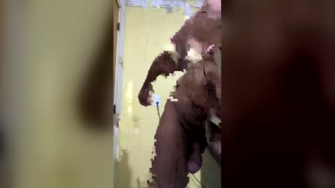 gifted online show from April 6, 7:31 am