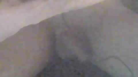 lovegirlscallme online show from January 12, 9:09 pm