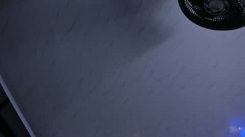     online show from April 29, 9:35 am