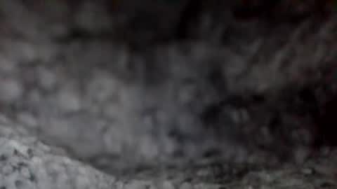 Snapshot of givr6inches chatting on December 7, 11:51 am e-Bizl online show from December 7, 11:51 am