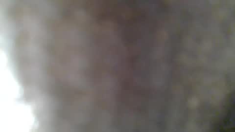 Snapshot of givr6inches chatting on February 25, 7:31 am e-Bizl online show from February 25, 7:31 am